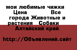 мои любимые чижки › Цена ­ 15 000 - Все города Животные и растения » Собаки   . Алтайский край